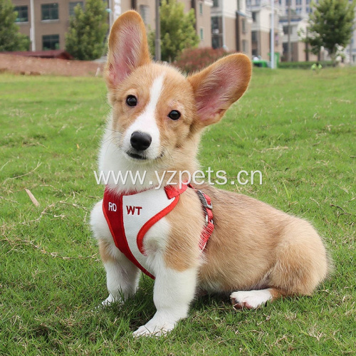 Wholesale Nylon Dog Harness Leash